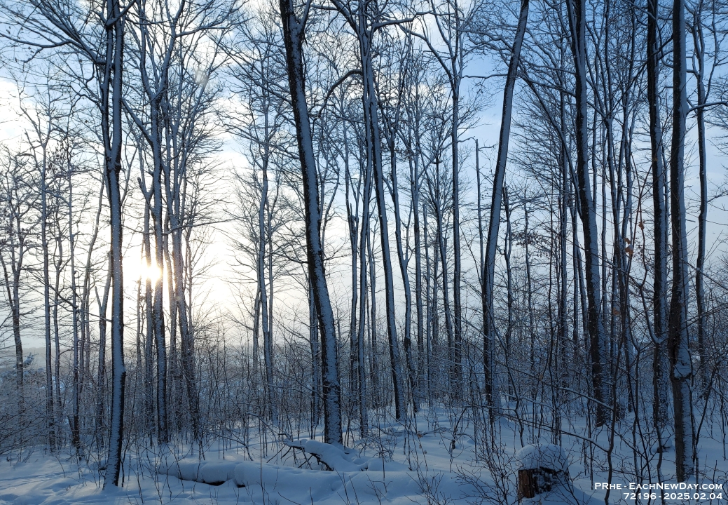 72196PeCrLe - Walking through the woods on a snowy morning
